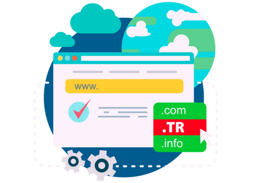 TR domain buying guide