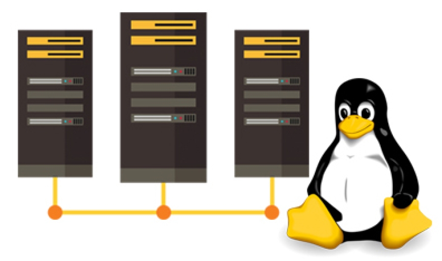 Linux Web Hosting