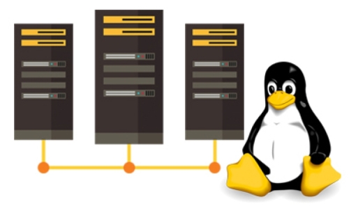 Linux Web Hosting